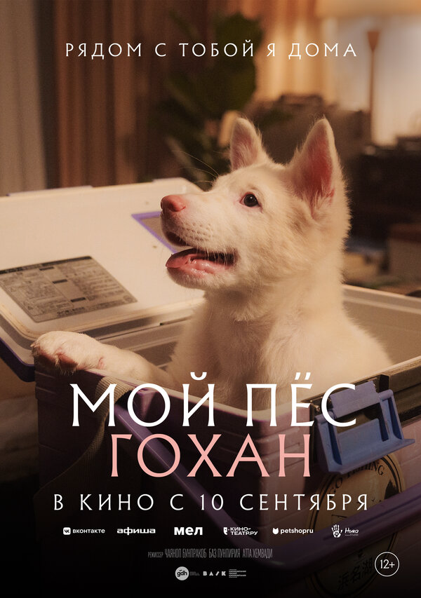 Постер фильма